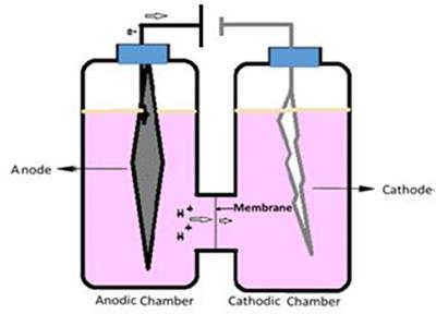 Enhancement of Ethanol Production in Electrochemical Cell by Saccharomyces cerevisiae (CDBT2) and Wickerhamomyces anomalus (CDBT7)